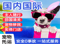 汉中城固机场物流国际宠物托运 【国